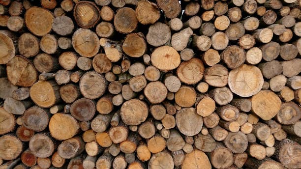 Our workshops in Białka